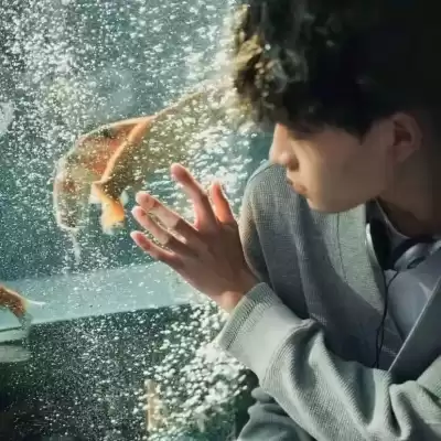 闻皎月